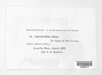Image Associated With the Occurence